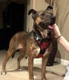 Frannie Hope photo 3