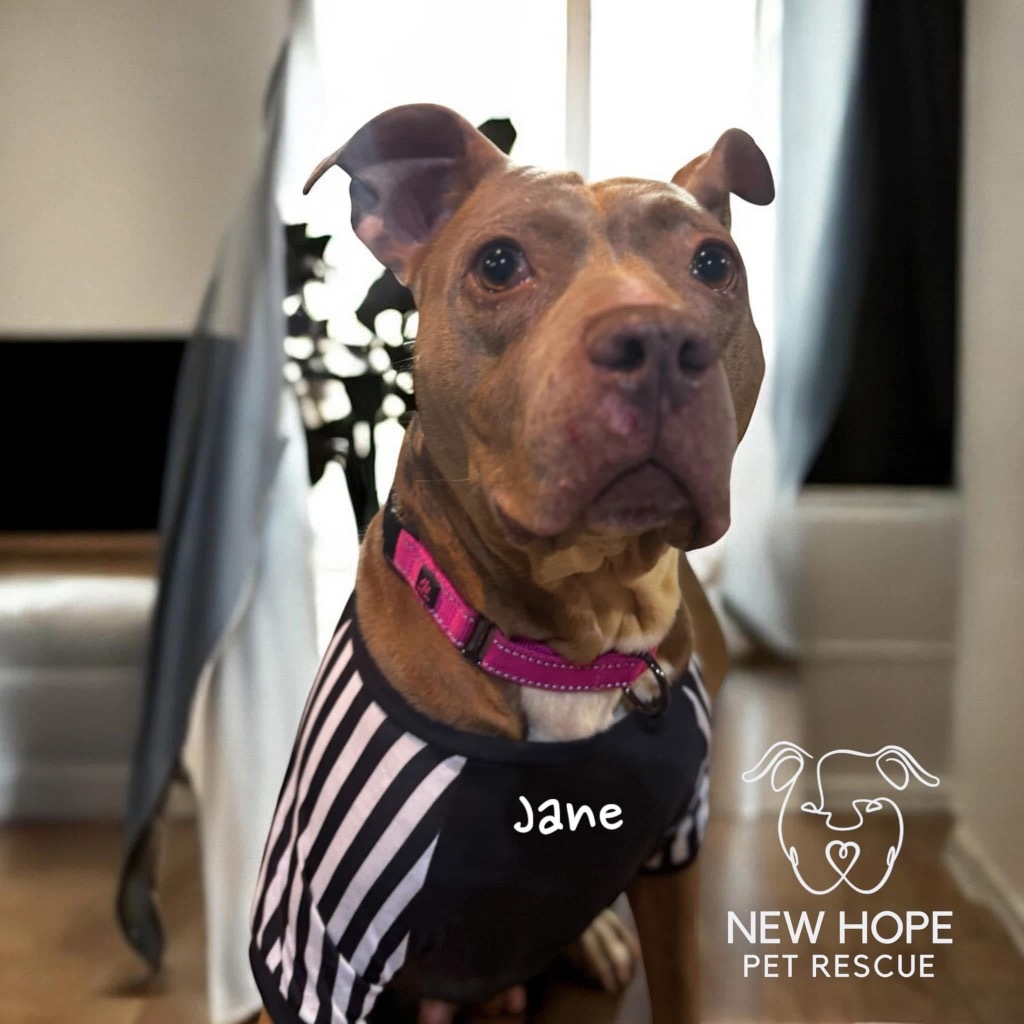 Jane