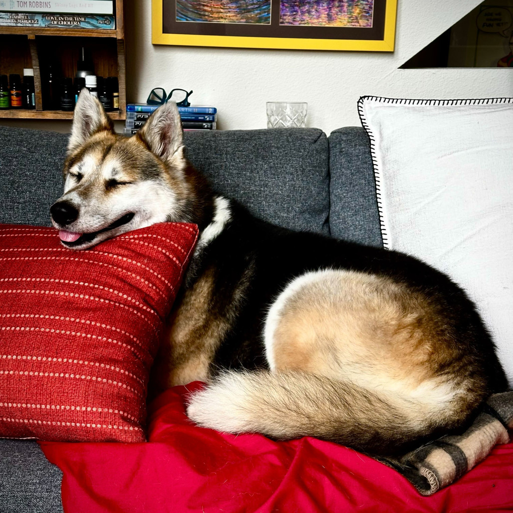 Luna Tamale