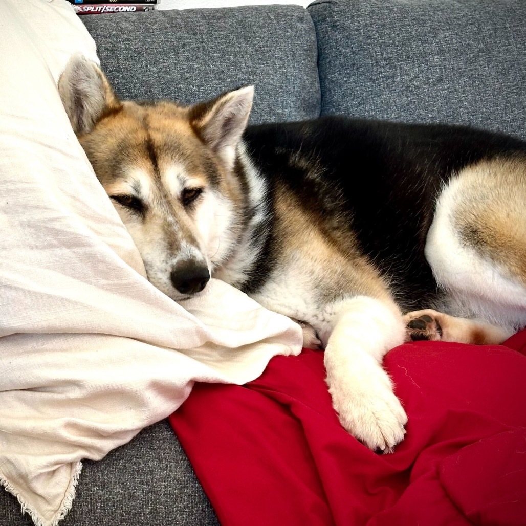 Luna Tamale