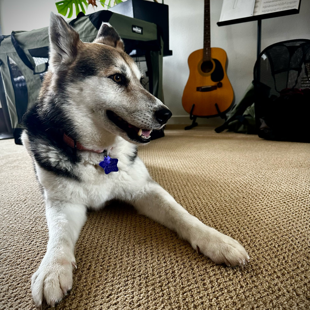 Luna Tamale