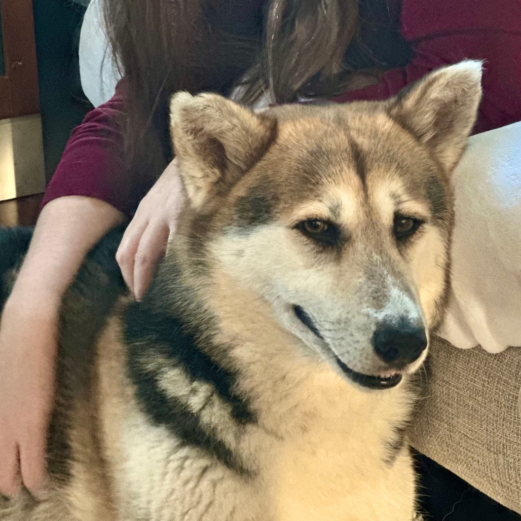 Luna Tamale
