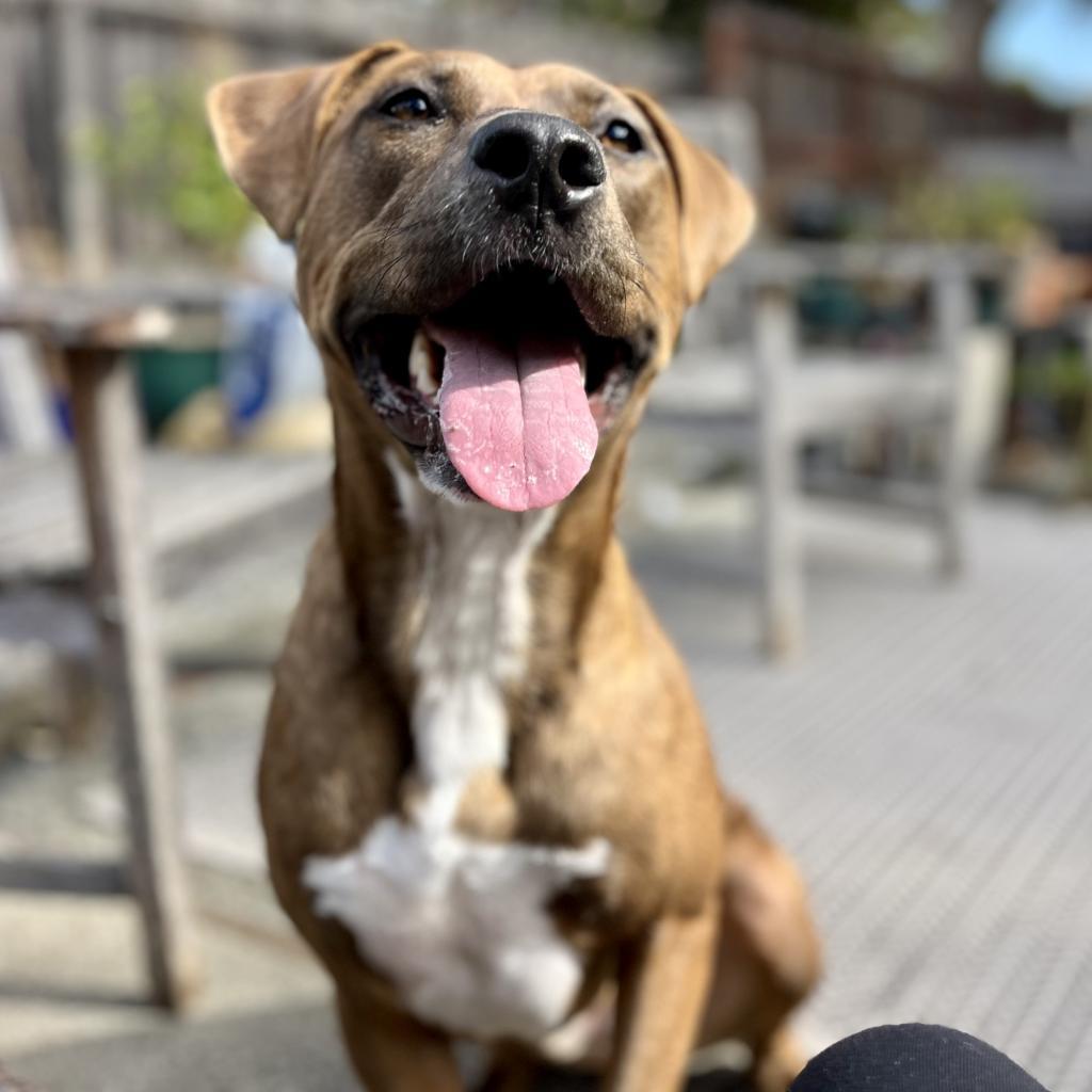 Max