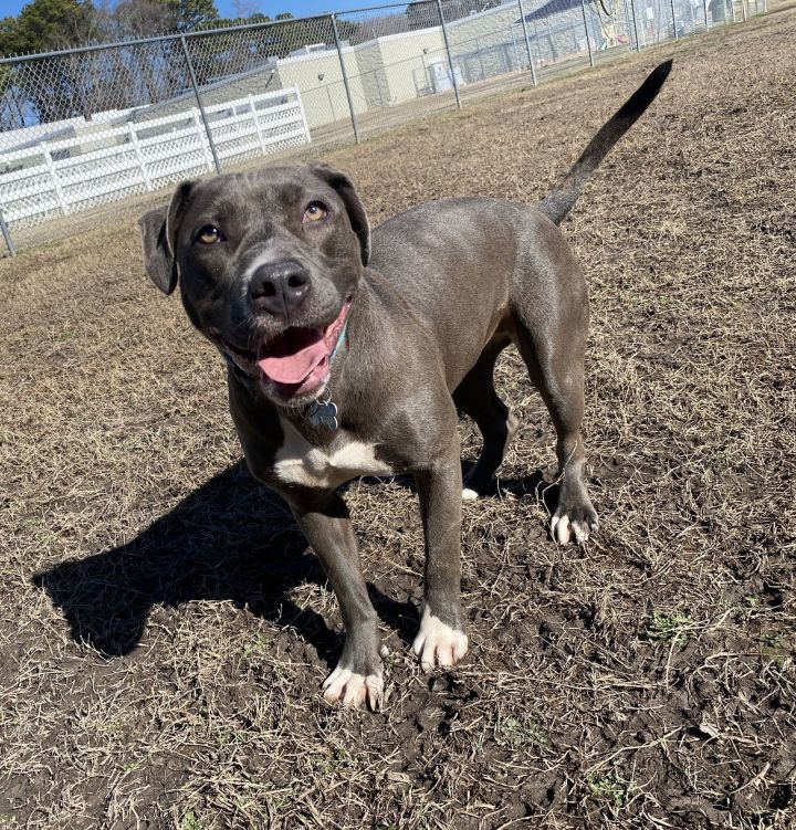 2502-0810 Lana (Off Site Foster) 1