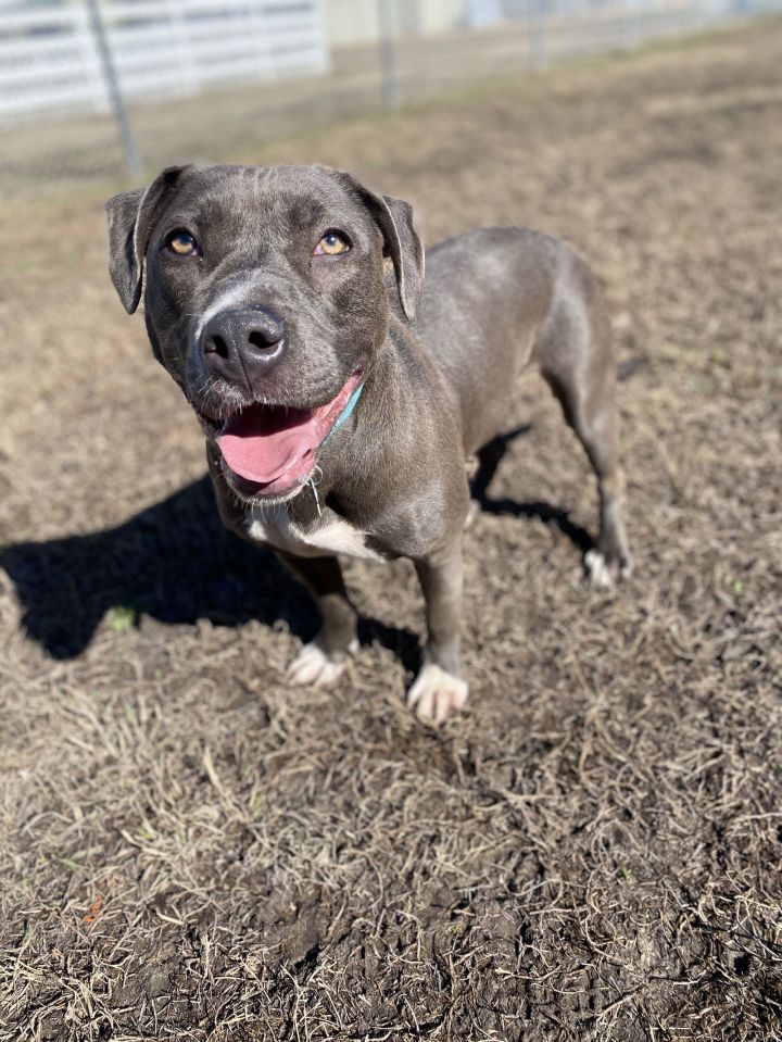 2502-0810 Lana (Off Site Foster) 2