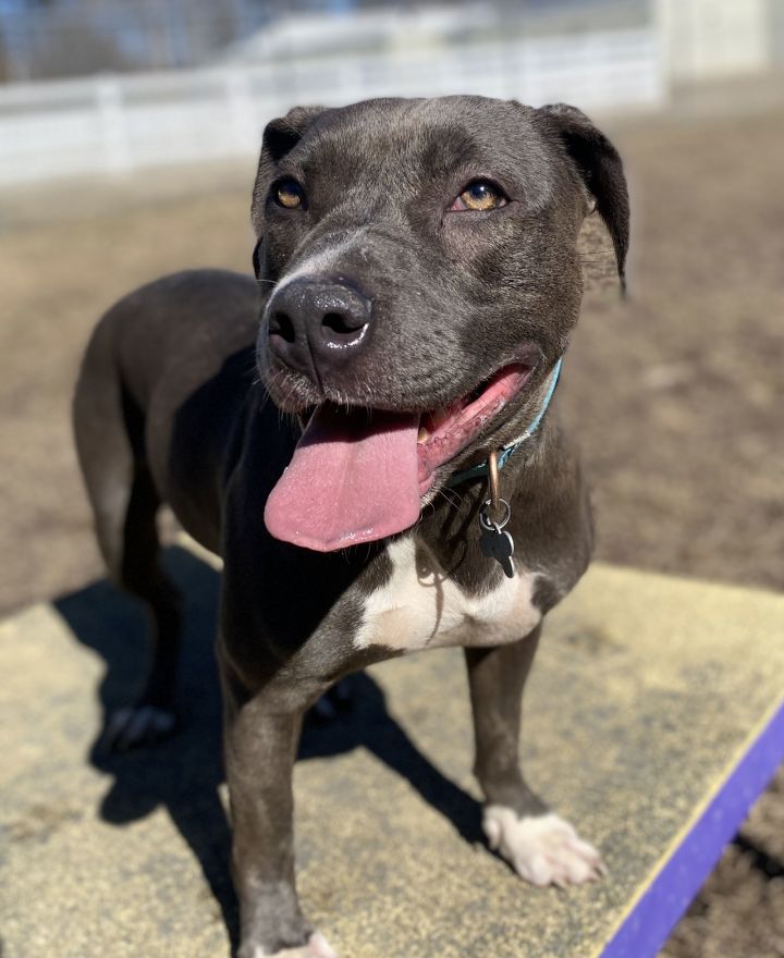 2502-0810 Lana (Off Site Foster) 3