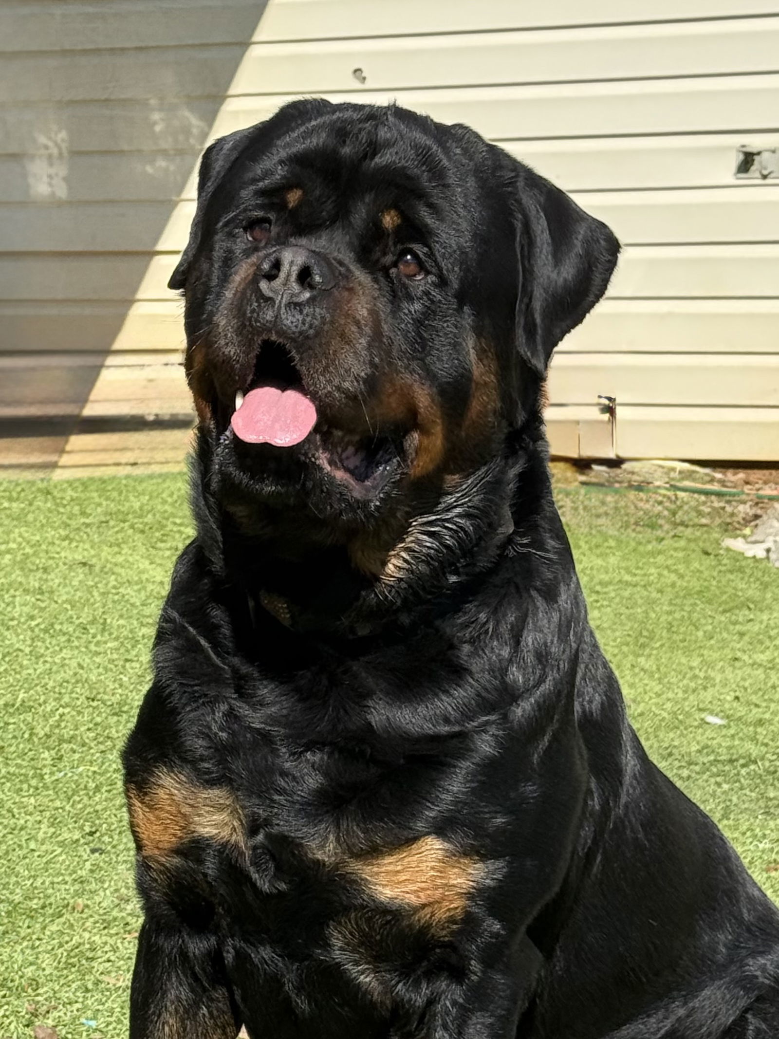 Remi