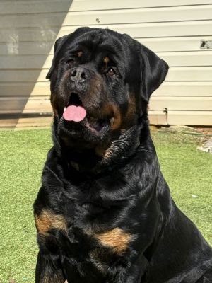 Remi