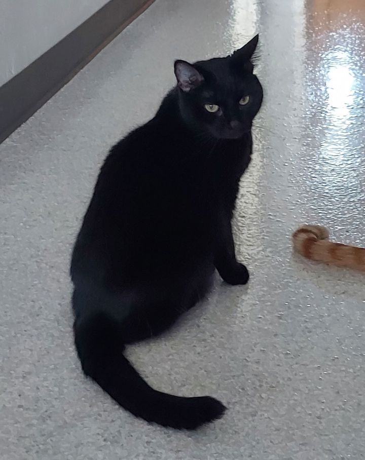 Rhoda 2