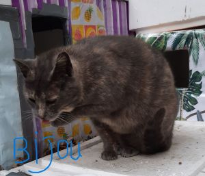 Bijou