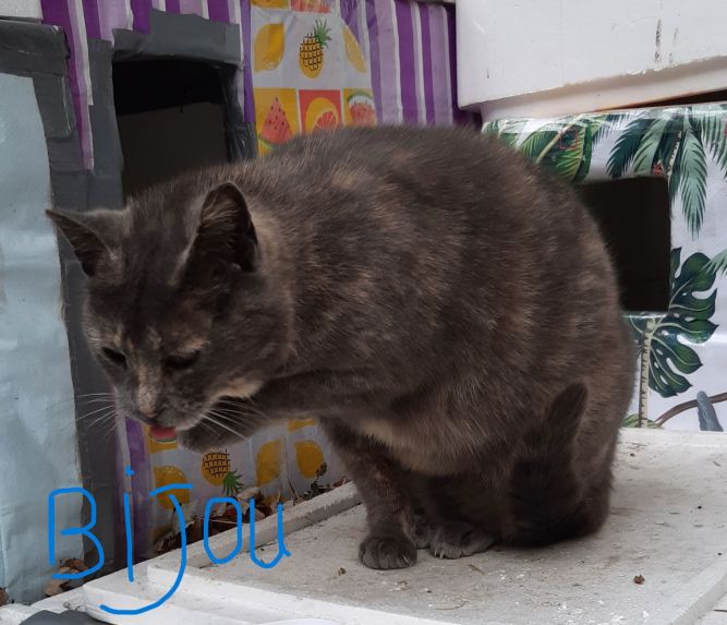 Bijou