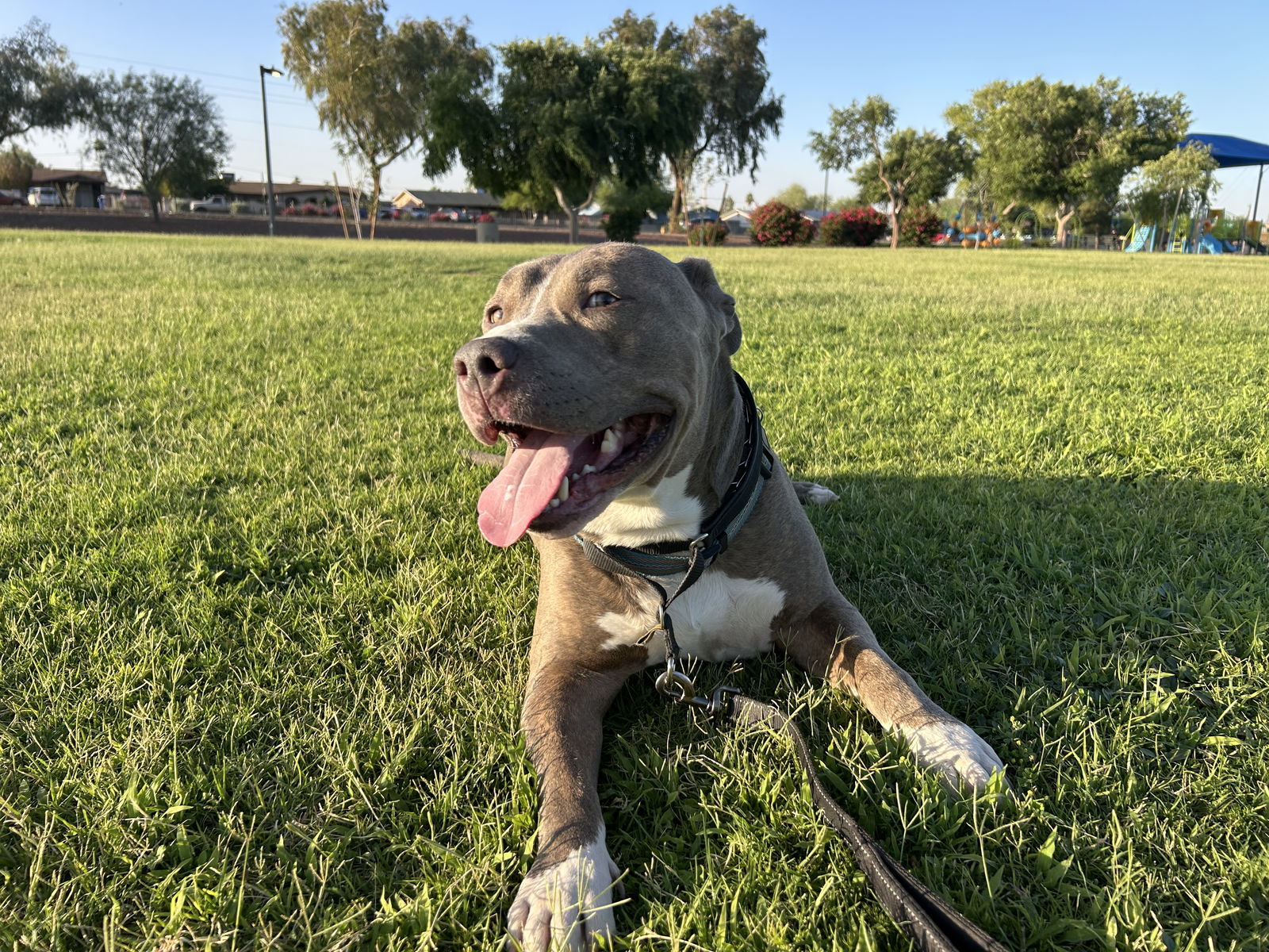 BRUCE