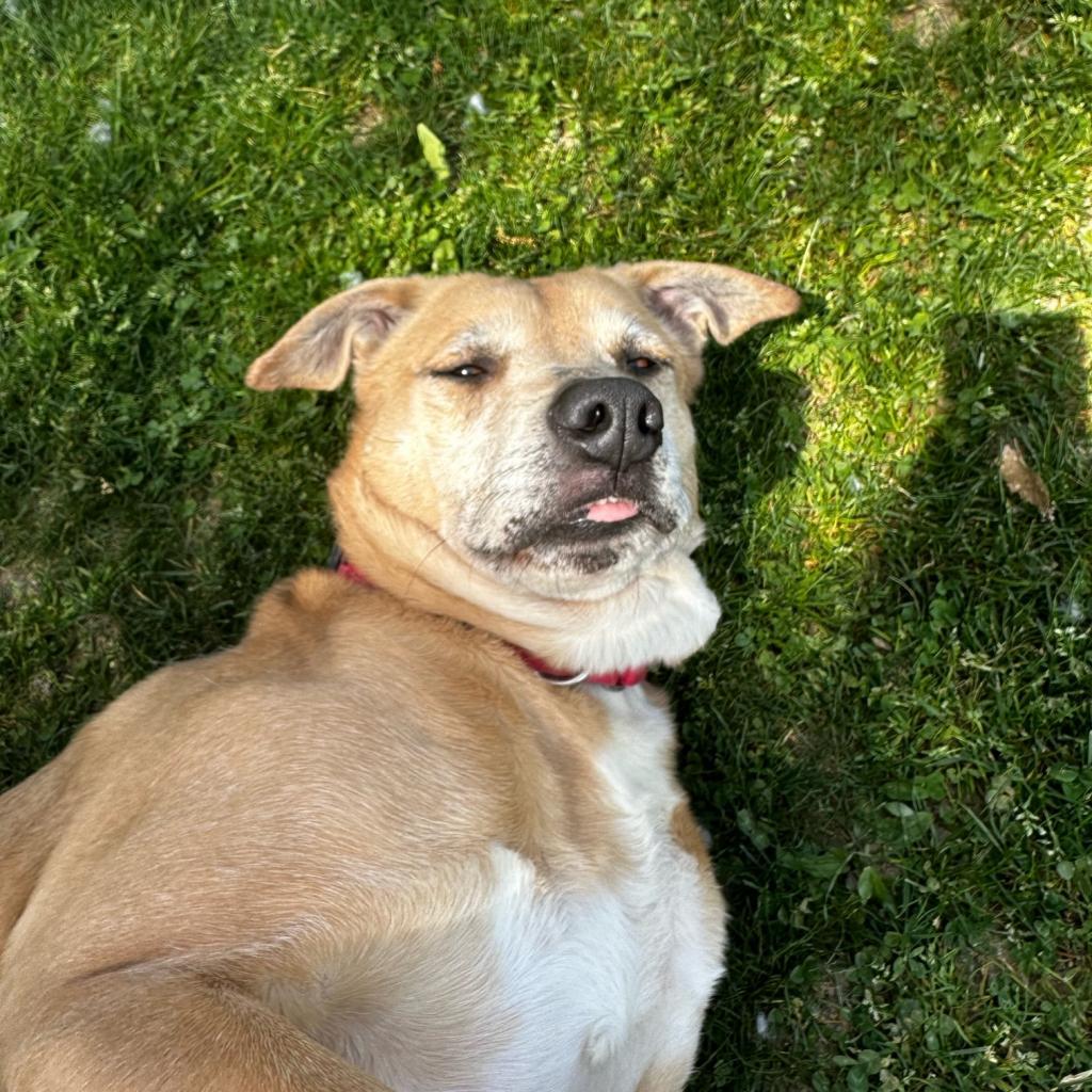 Freya