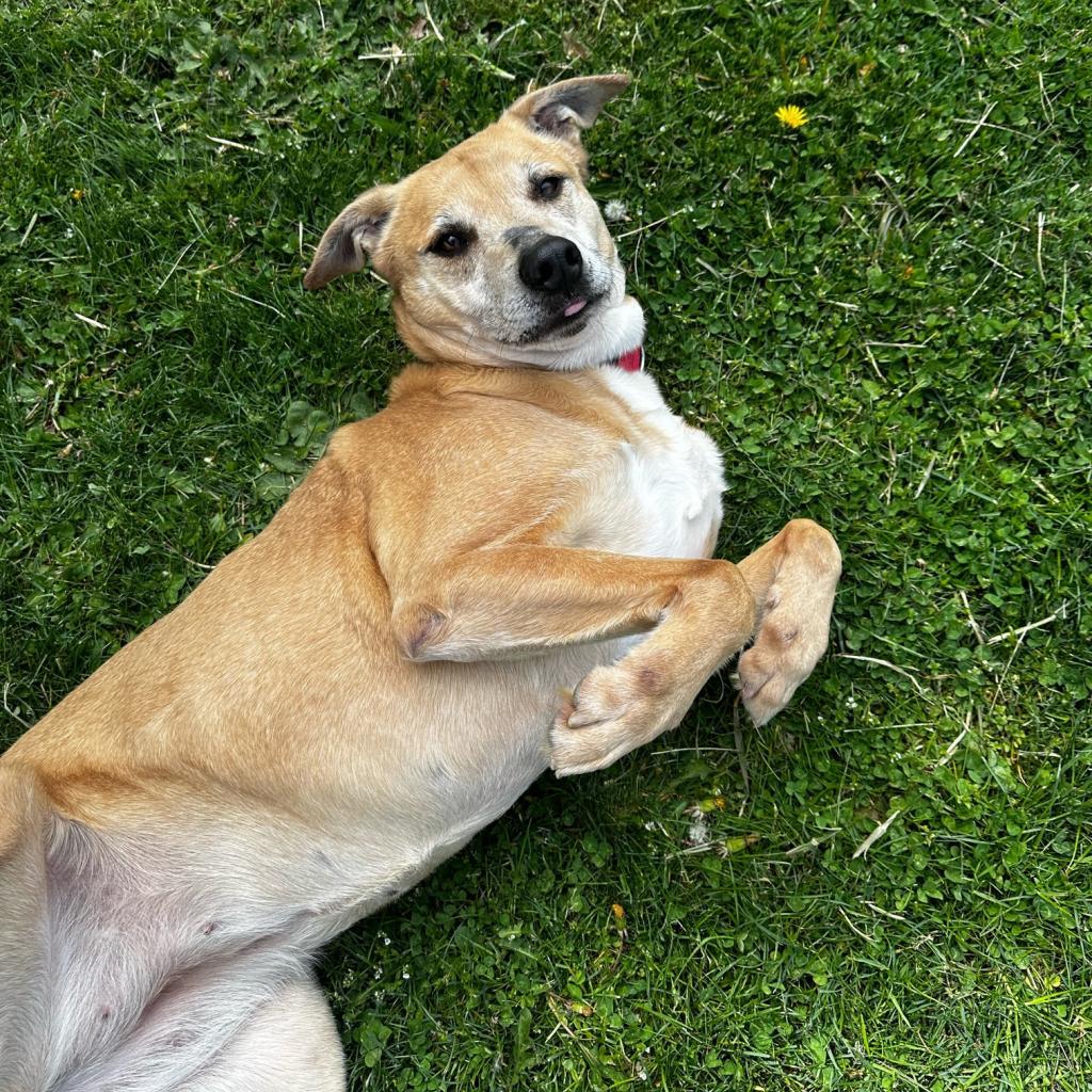 Freya
