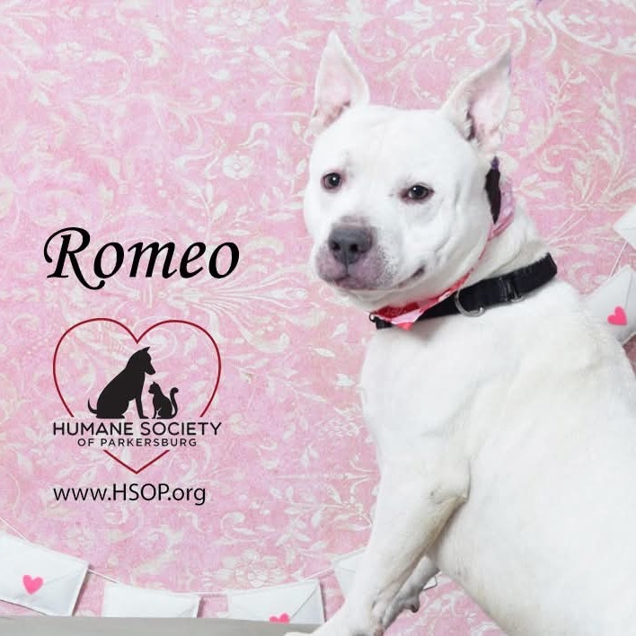 Romeo