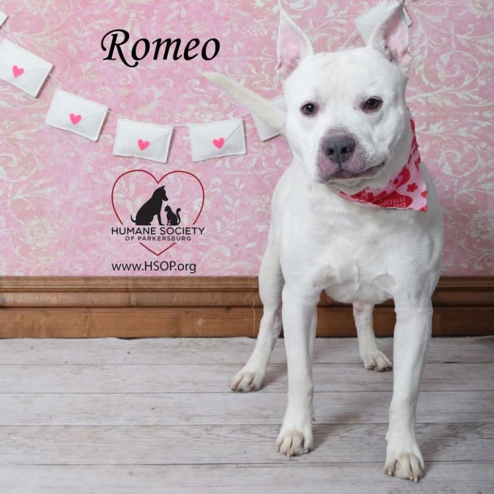 Romeo 3