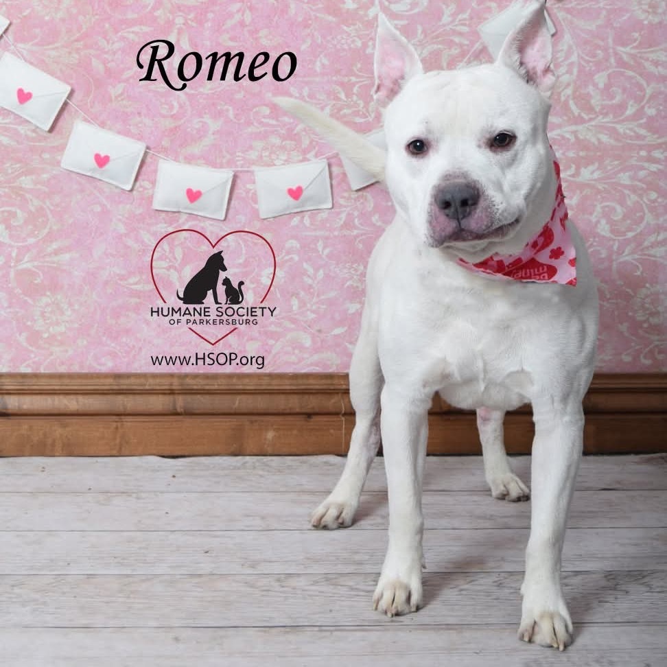 Romeo