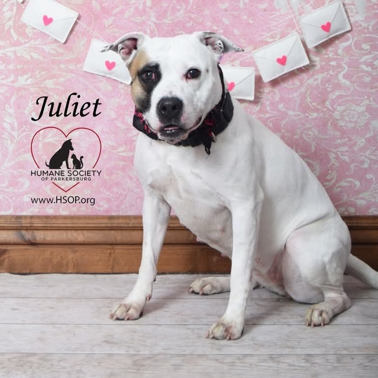 Juliet