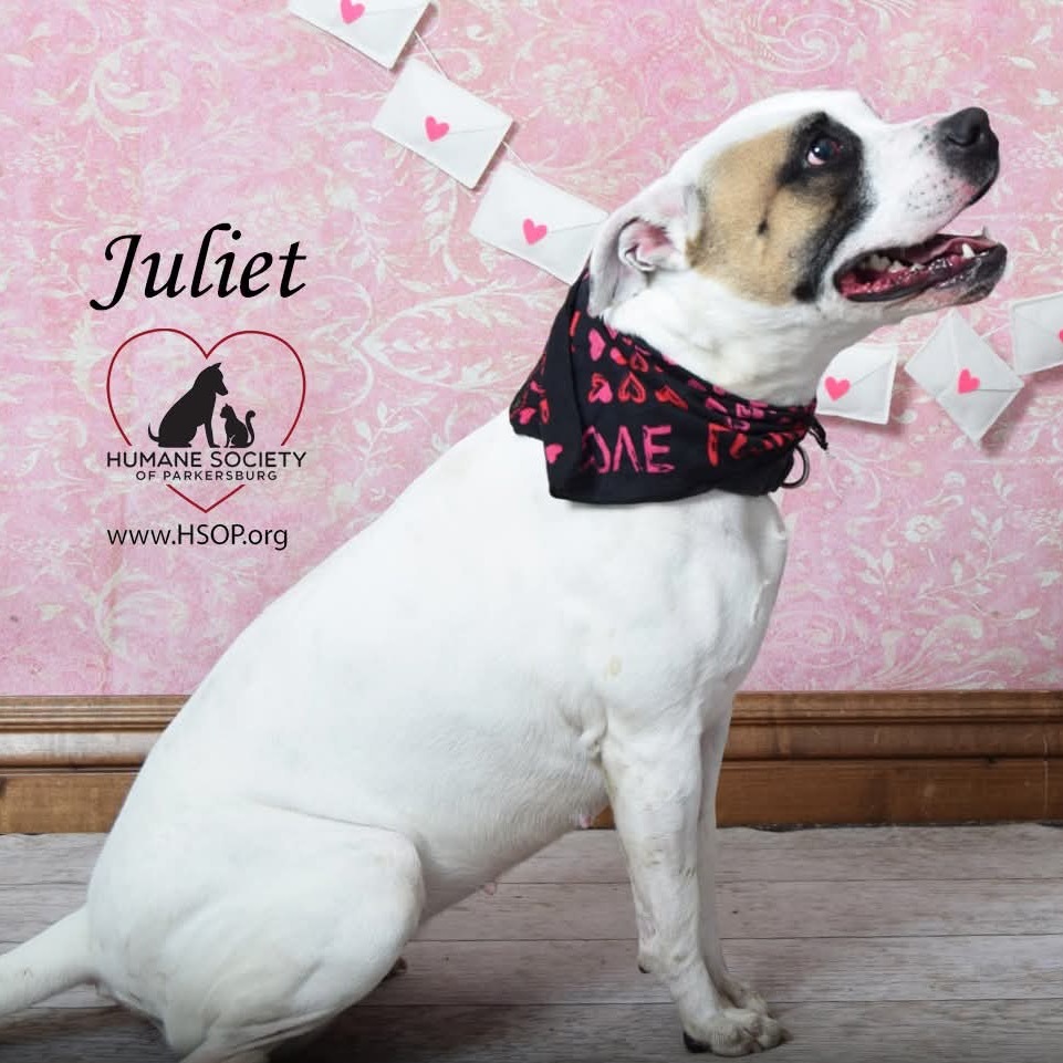 Juliet