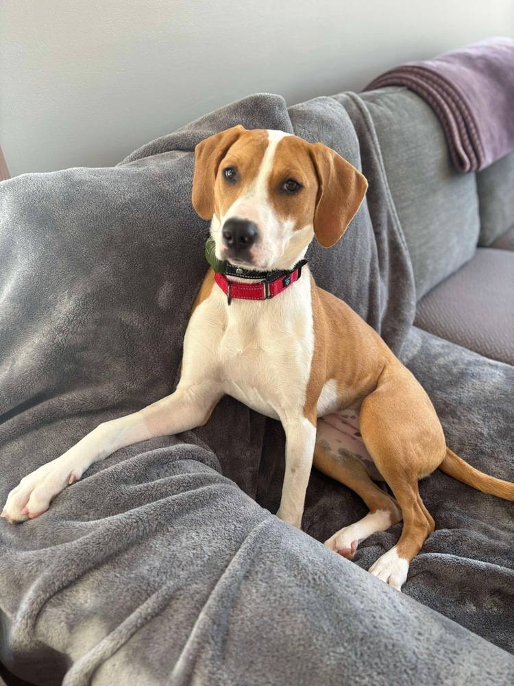 Penny