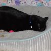 Magnus photo 3