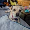 Cleo photo 3