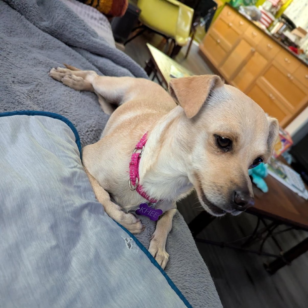Cleo