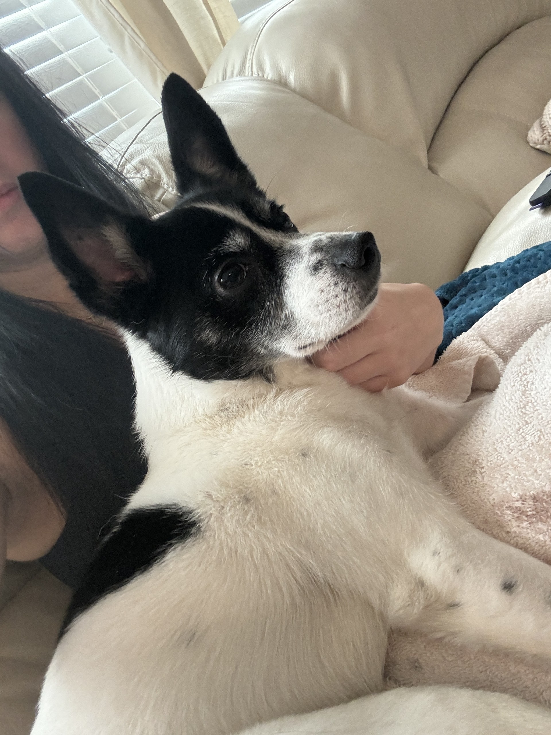 Mable Jean(Sadie)