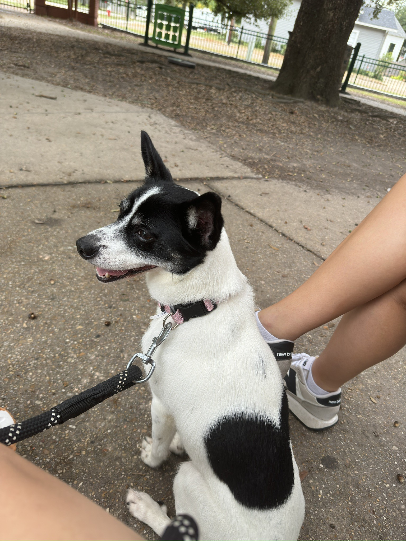 Mable Jean(Sadie)