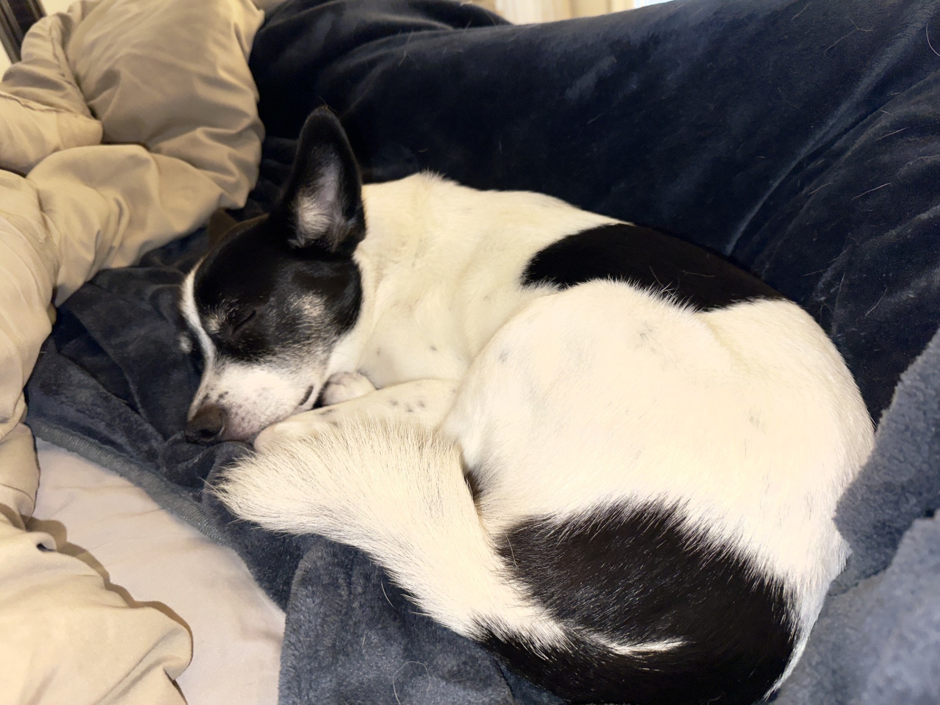 Mable Jean(Sadie)
