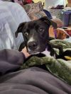 Malachi photo 1