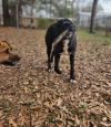 Malachi photo 2