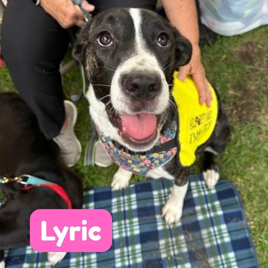 Lyric
