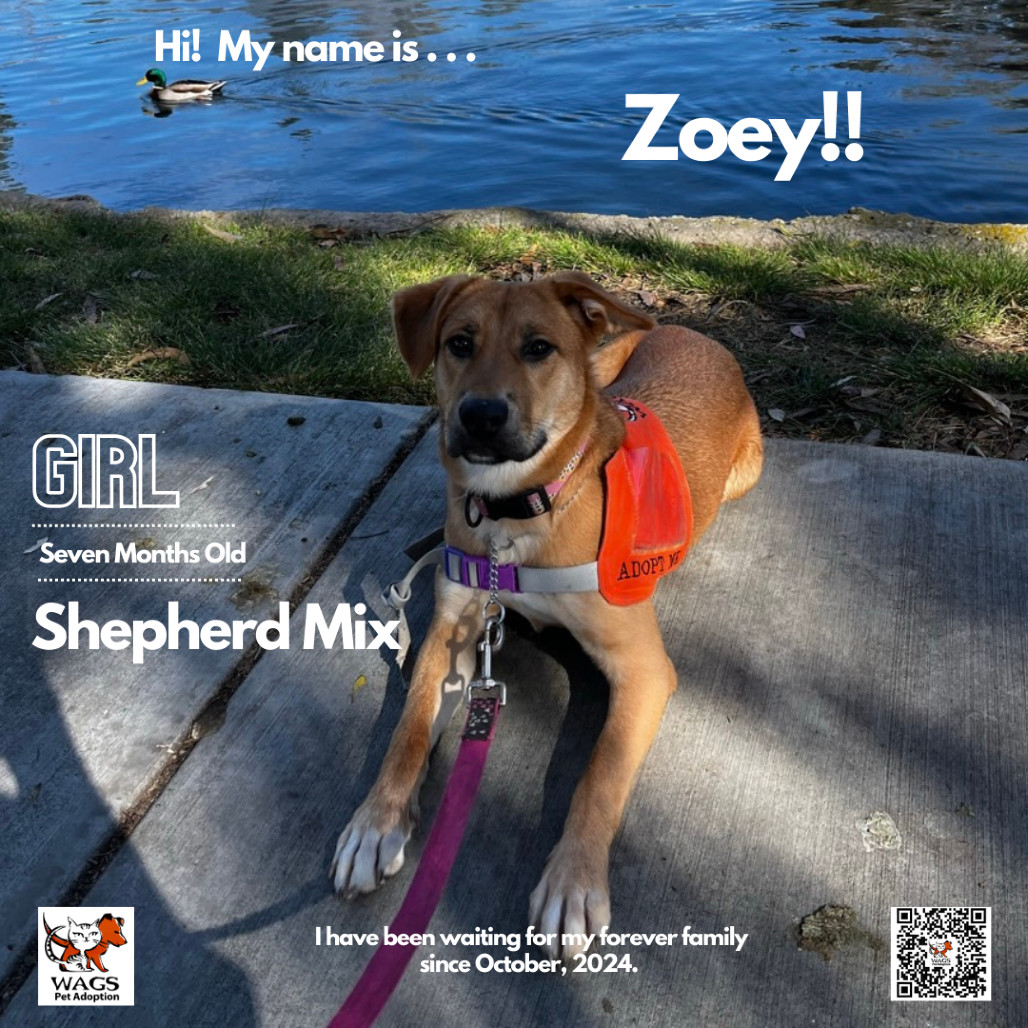 Zoey