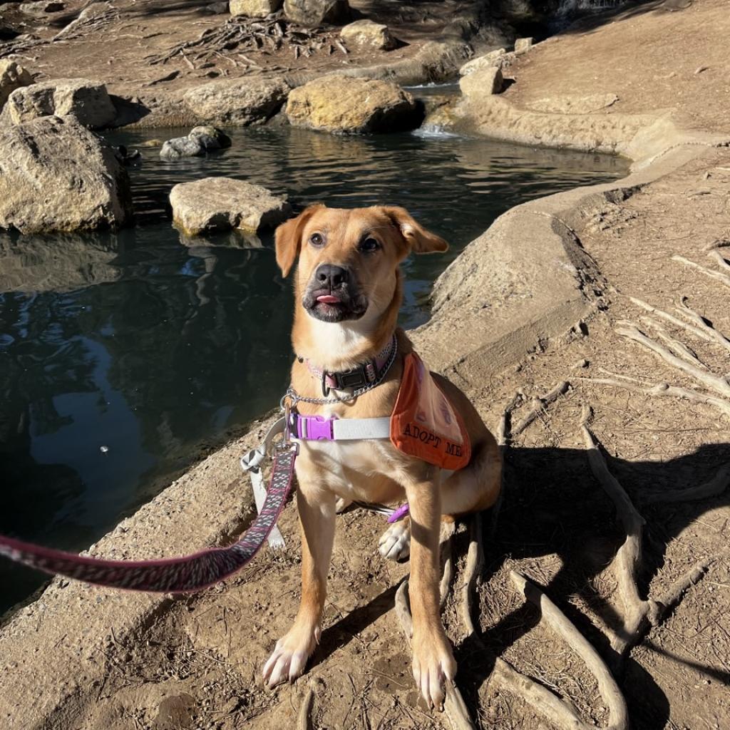 Zoey