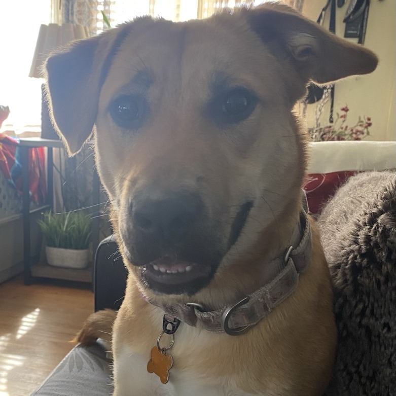 Zoey