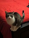Ana 4617 photo 6