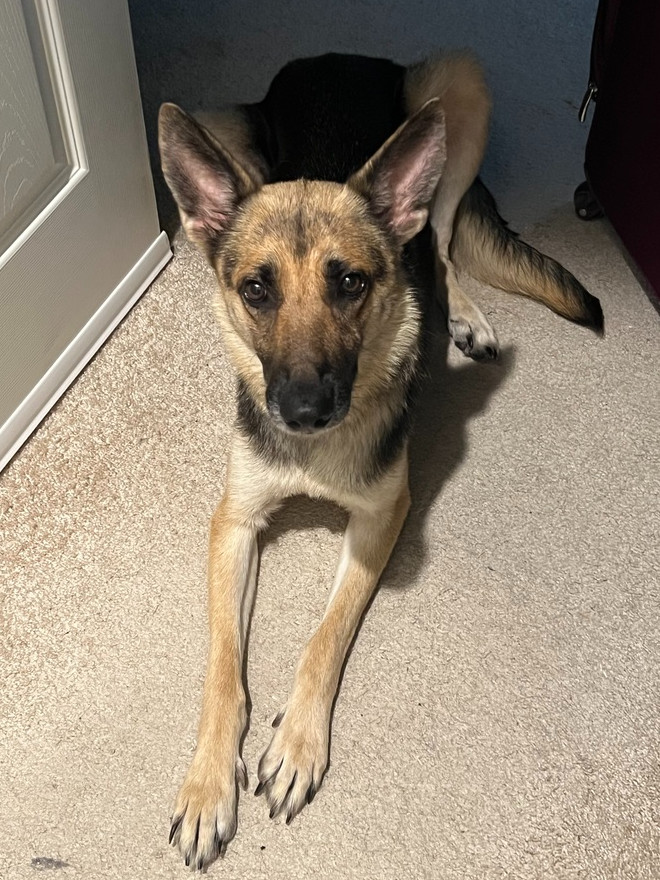 Kya (Momma)