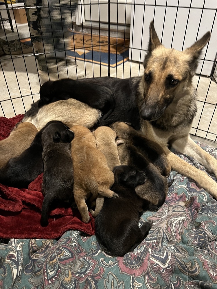 Kya (Momma)