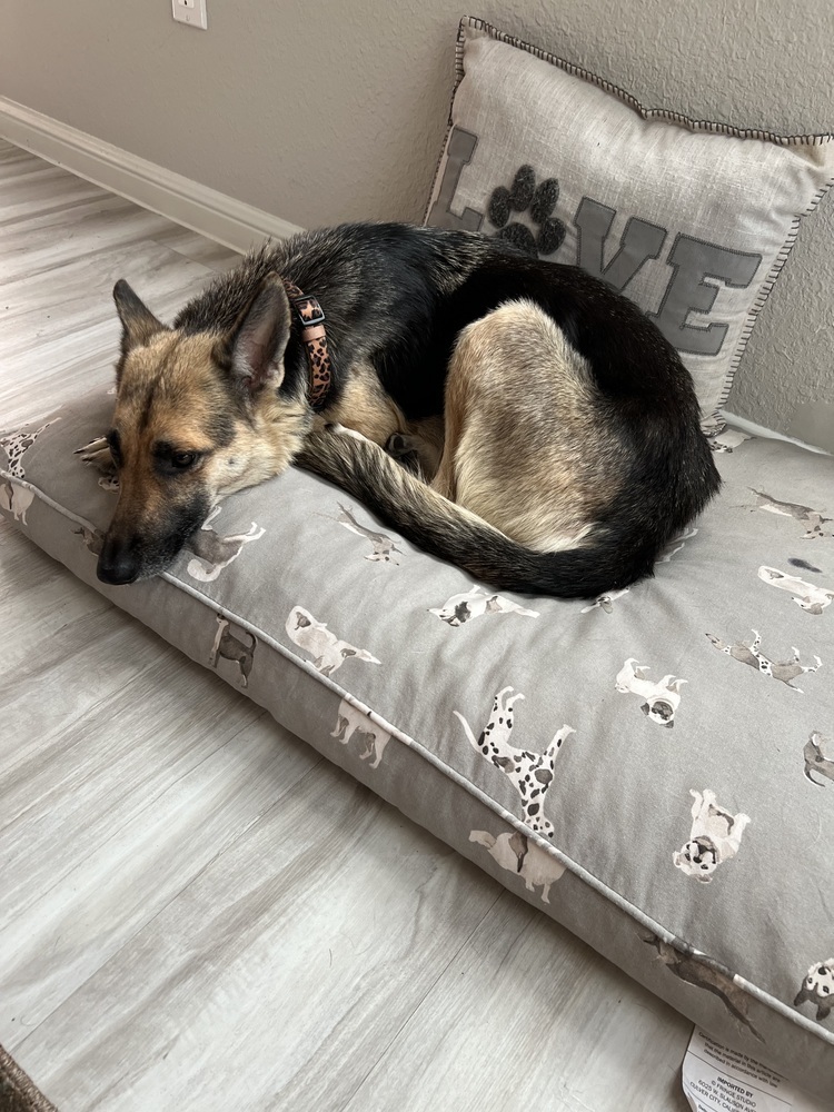 Kya (Momma)