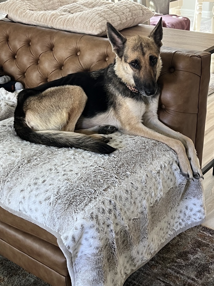 Kya (Momma)