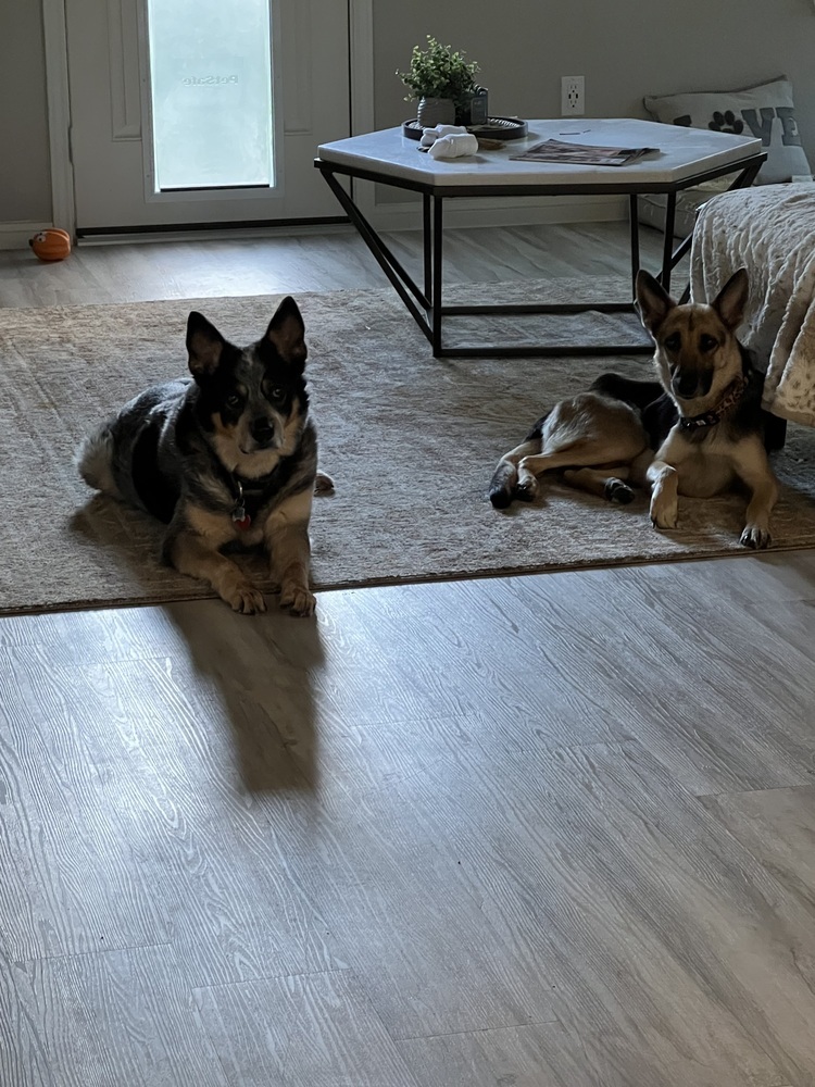 Kya (Momma)