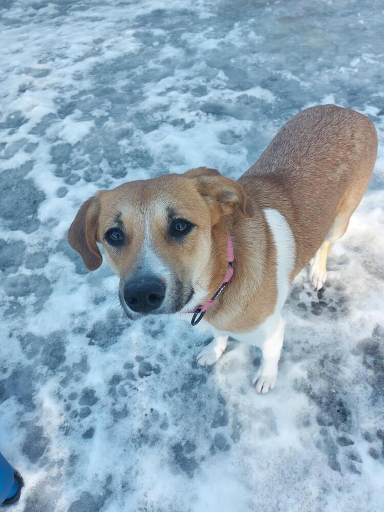 Maggie (Grimes County)