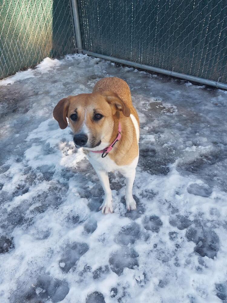 Maggie (Grimes County)