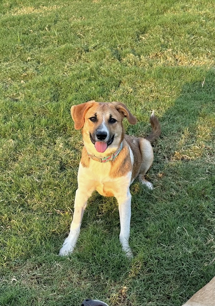 Maggie (Grimes County)