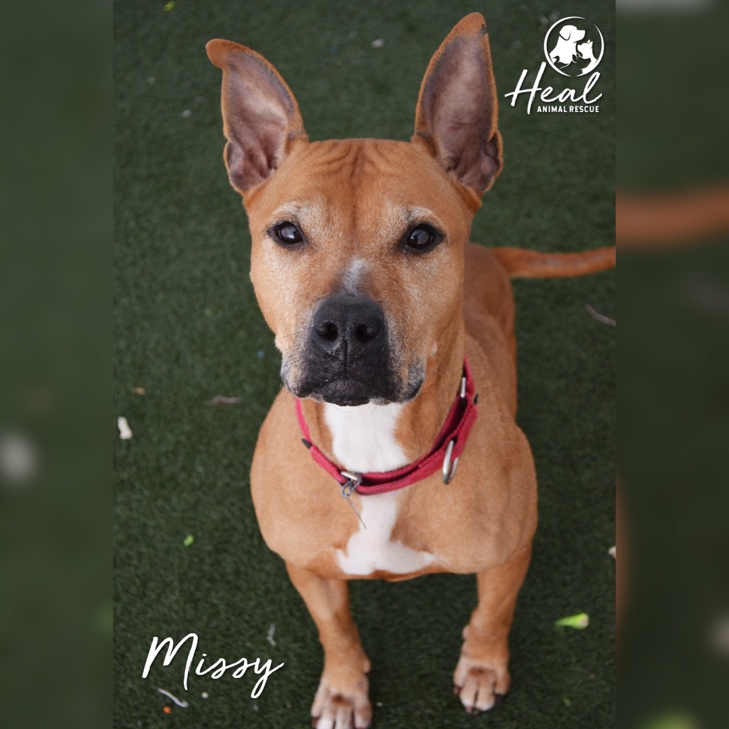 Missy