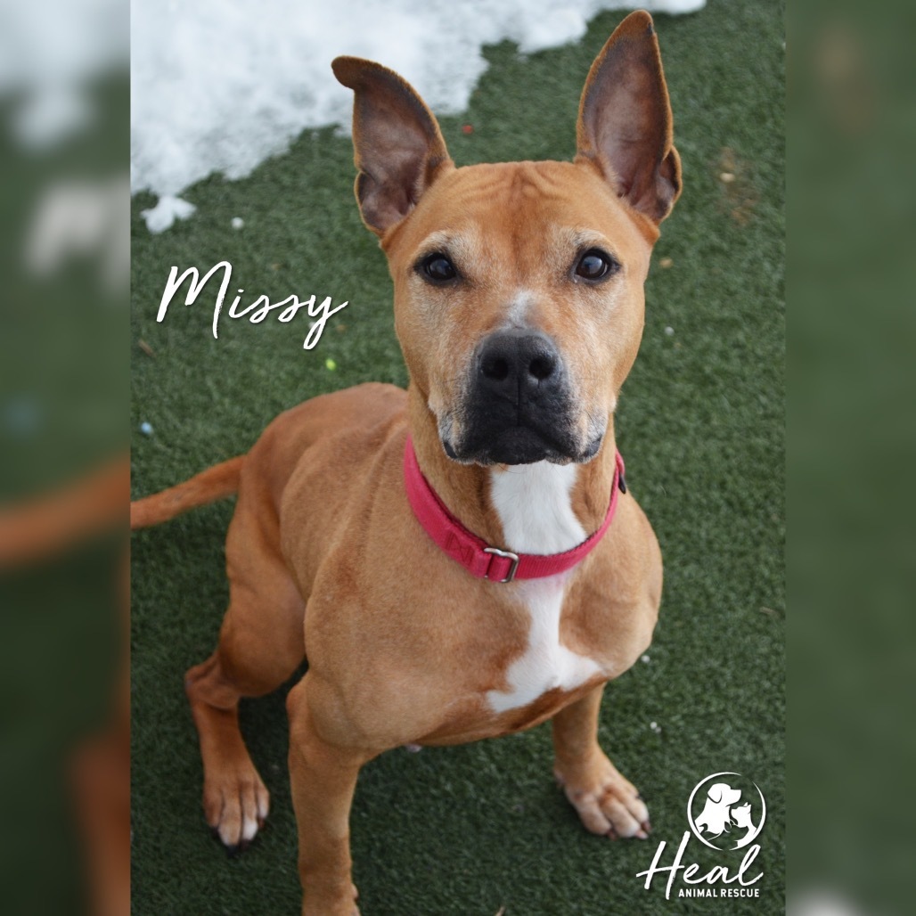 Missy