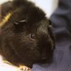 Ivan, Theo &amp; Ferdinand photo 4