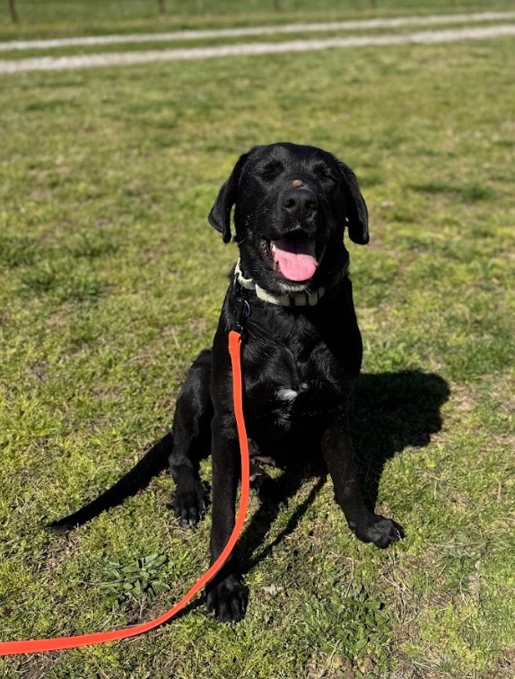 Kaia