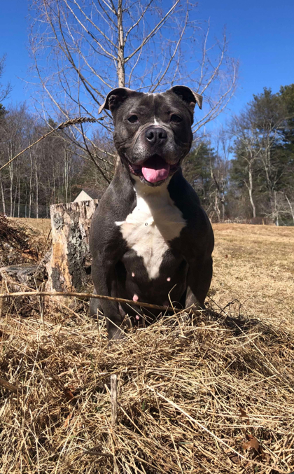 Luna